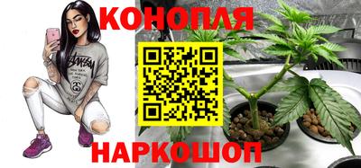 ALPHA PVP Кандалакша