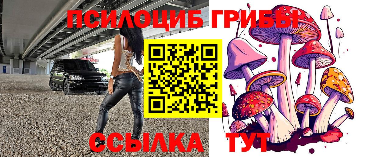Псилоцибиновые грибы прущие грибы  Галлюциногенные грибы MAGIC MUSHROOMS  Вход с VPN  Электросталь 
