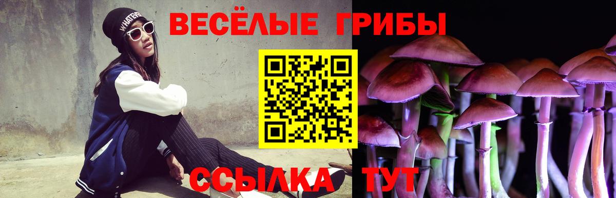 Псилоцибиновые грибы Psilocybine cubensis Электросталь